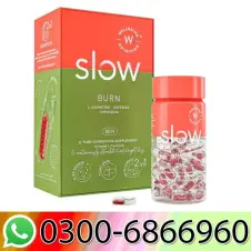 Wellbeing Nutrition Slow Burn Capsule In Pakistan