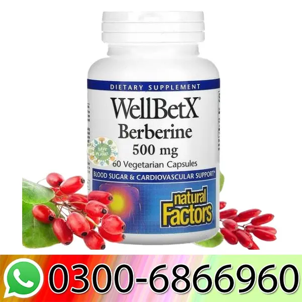 WellBetX Berberine 500mg In Pakistan